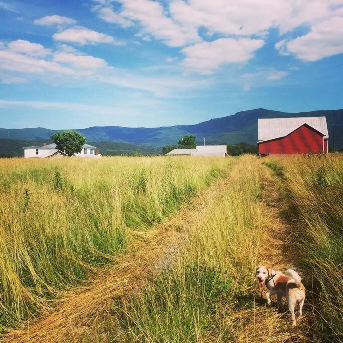 Madeline Farms Villa Luray Bagian luar foto