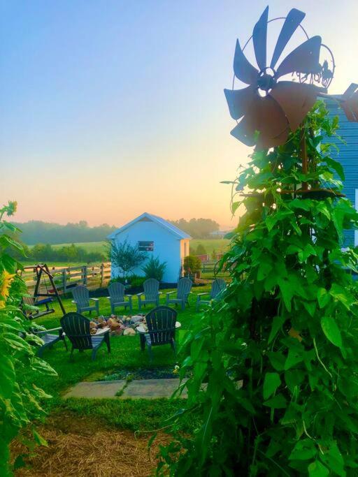 Madeline Farms Villa Luray Bagian luar foto