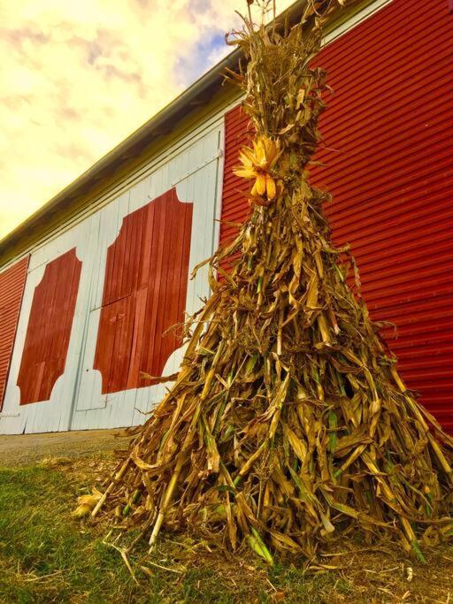 Madeline Farms Villa Luray Bagian luar foto