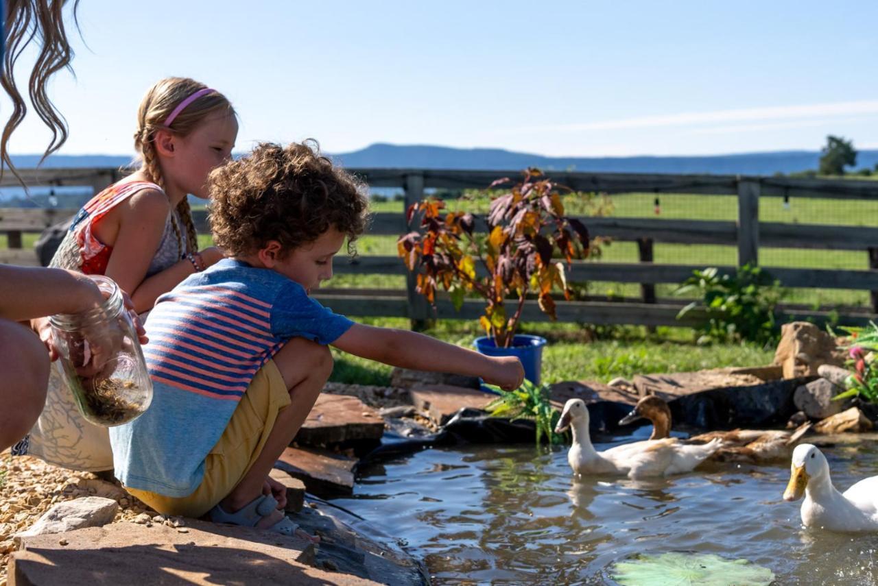 Madeline Farms Villa Luray Bagian luar foto