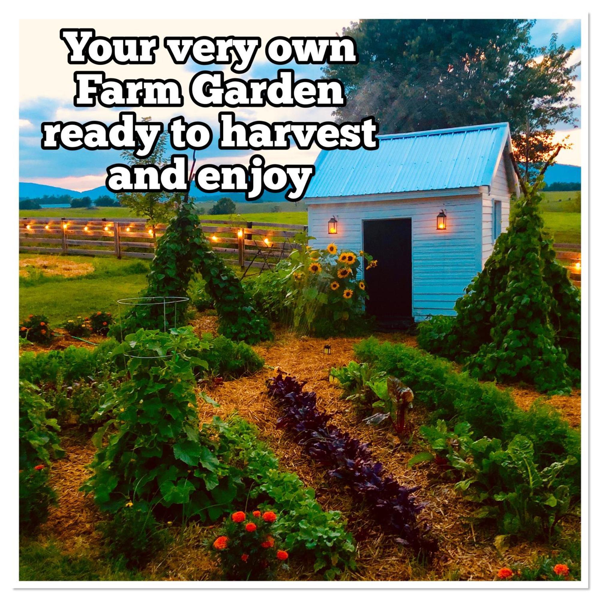 Madeline Farms Villa Luray Bagian luar foto