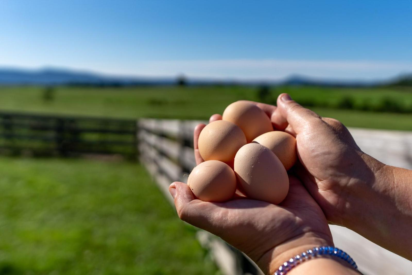 Madeline Farms Villa Luray Bagian luar foto