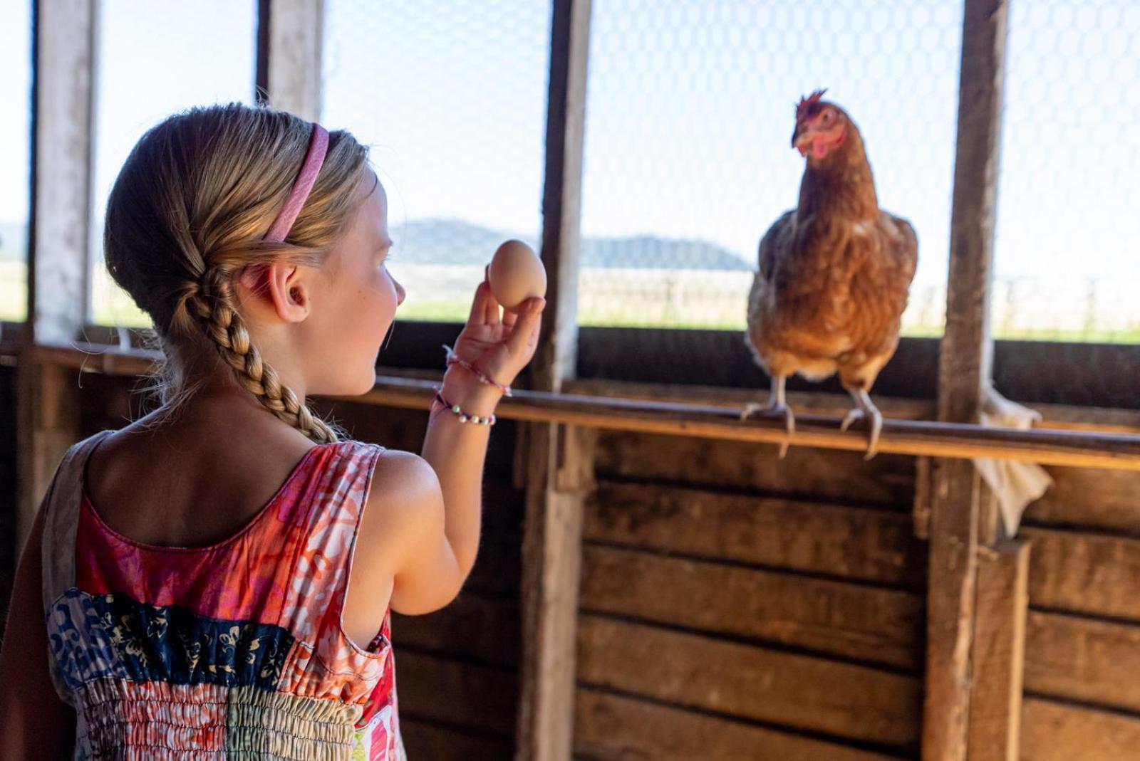 Madeline Farms Villa Luray Bagian luar foto
