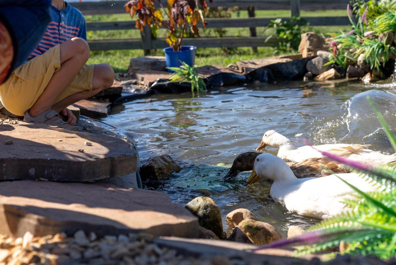 Madeline Farms Villa Luray Bagian luar foto