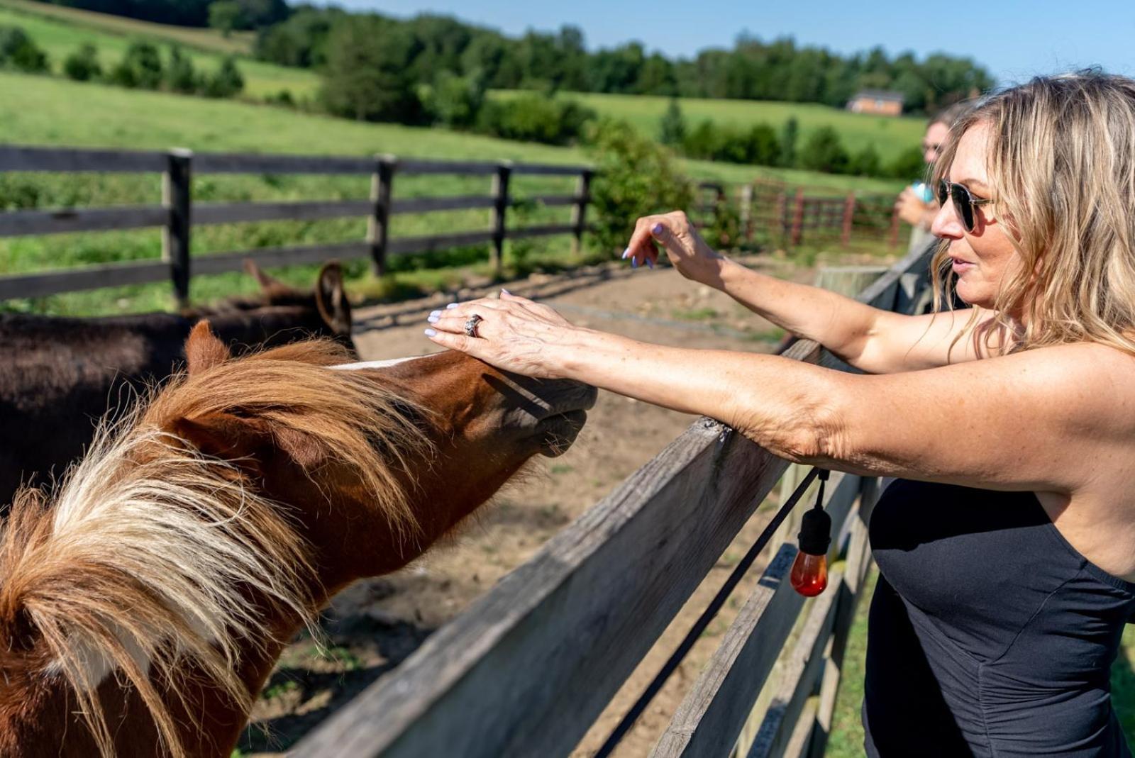 Madeline Farms Villa Luray Bagian luar foto