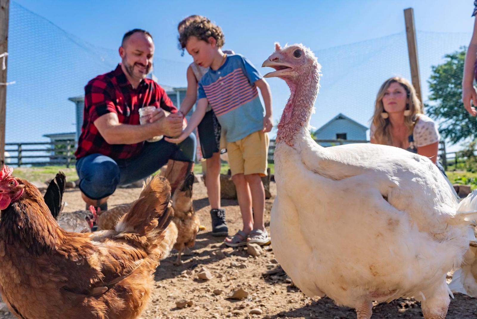 Madeline Farms Villa Luray Bagian luar foto