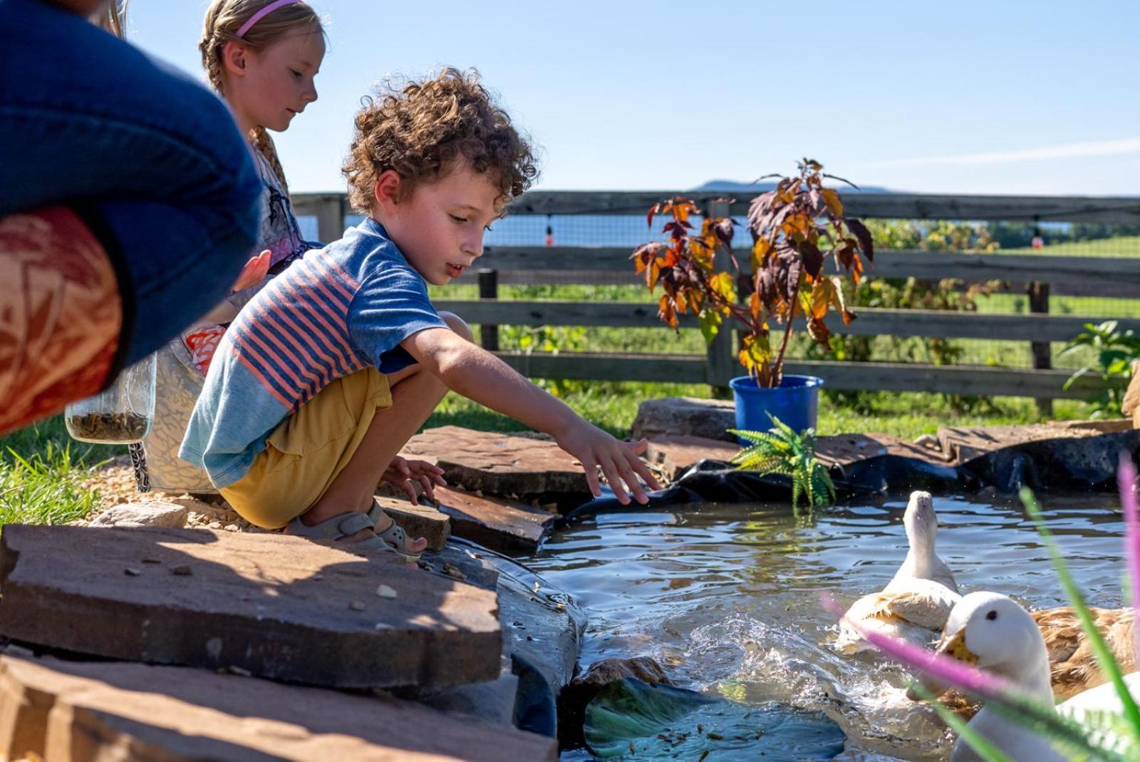 Madeline Farms Villa Luray Bagian luar foto