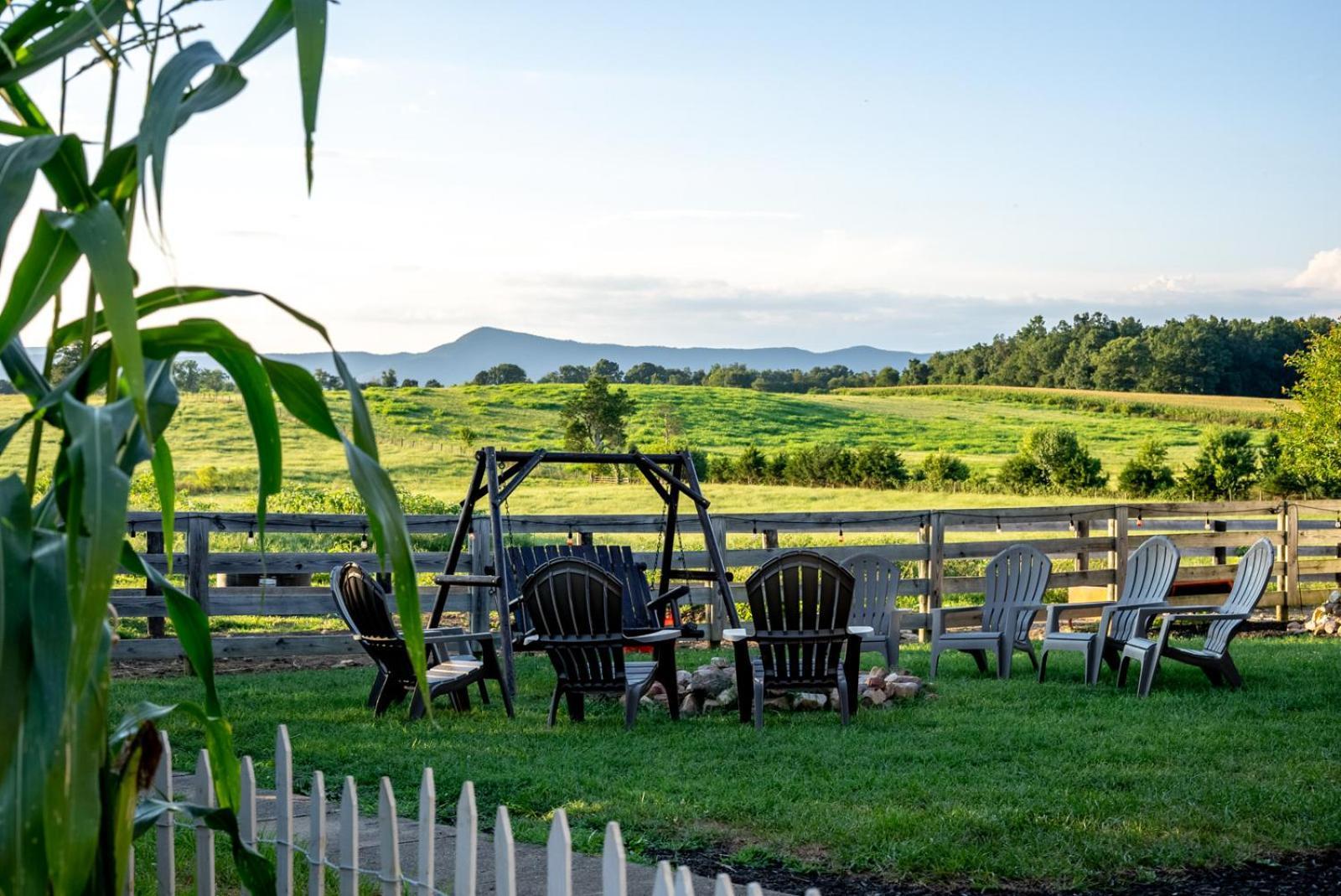 Madeline Farms Villa Luray Bagian luar foto
